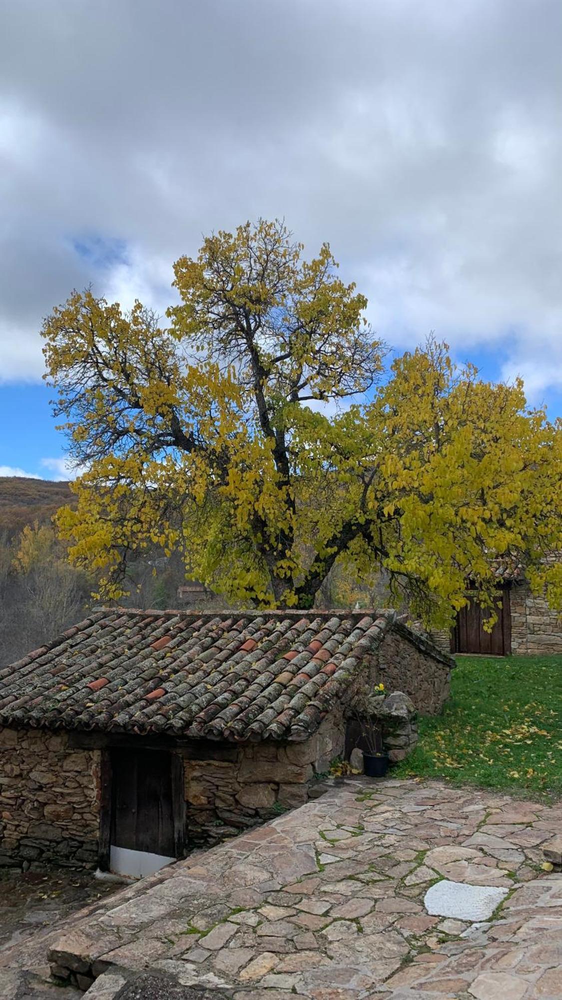 Al Viento, Alojamiento & Turismo Rural Pradena Del Rincon Exterior photo