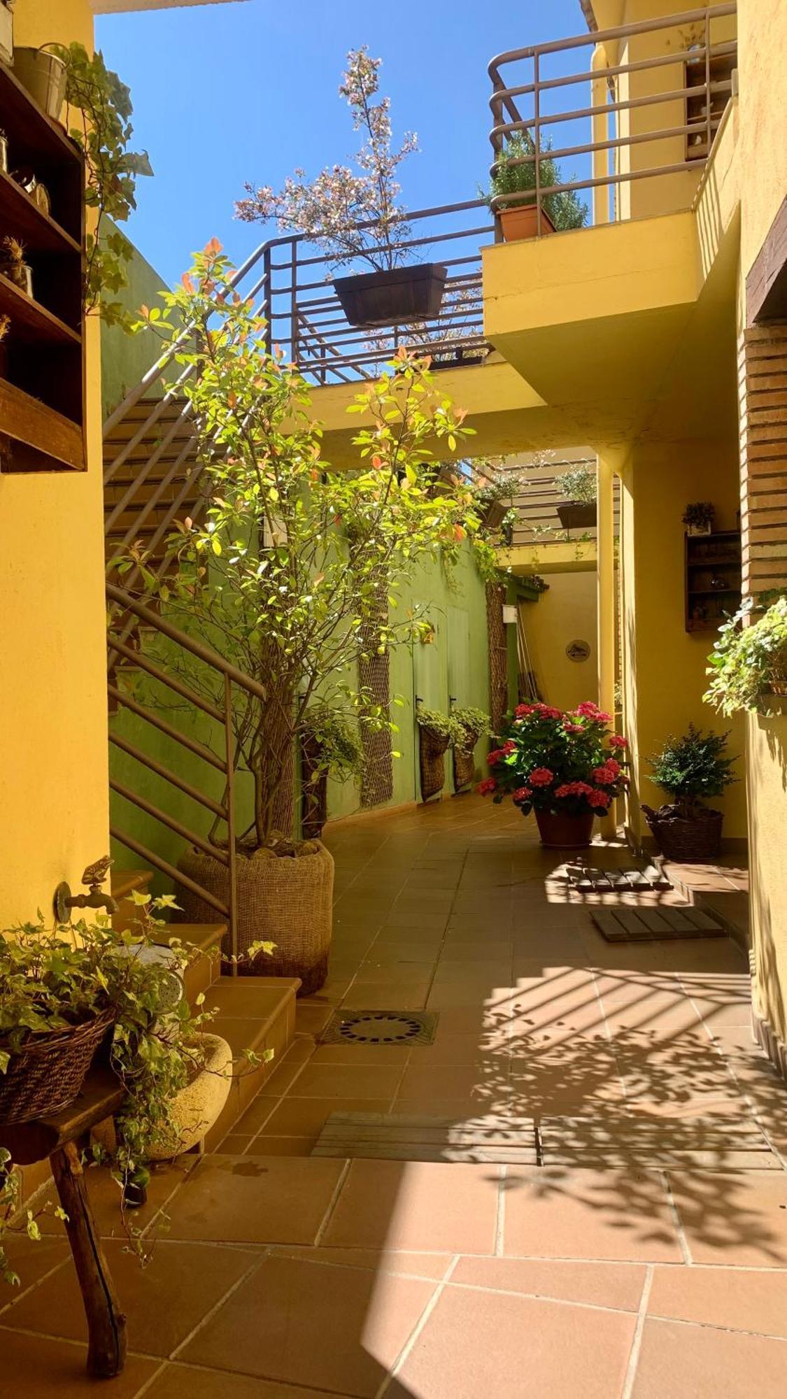 Al Viento, Alojamiento & Turismo Rural Pradena Del Rincon Exterior photo